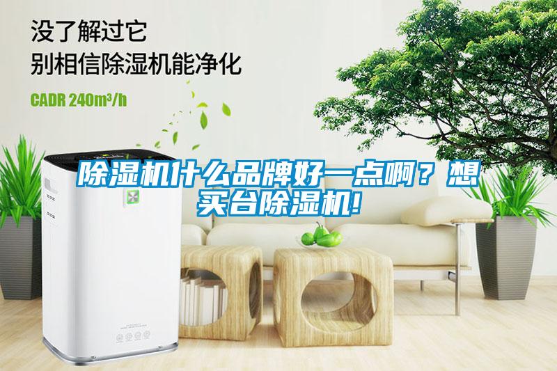 除濕機(jī)什么品牌好一點(diǎn)?。肯胭I(mǎi)臺(tái)除濕機(jī)!