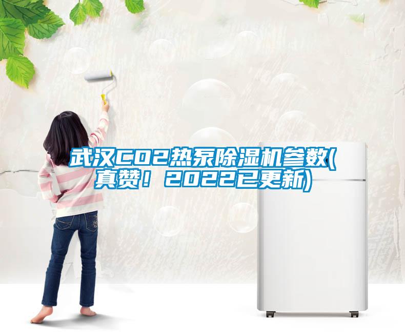 武漢CO2熱泵除濕機參數(真贊!2022已更新)