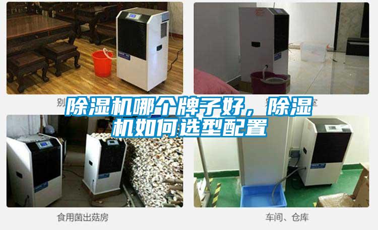 除濕機哪個牌子好,除濕機如何選型配置