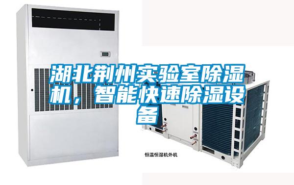 湖北荊州實驗室除濕機，智能快速除濕設備