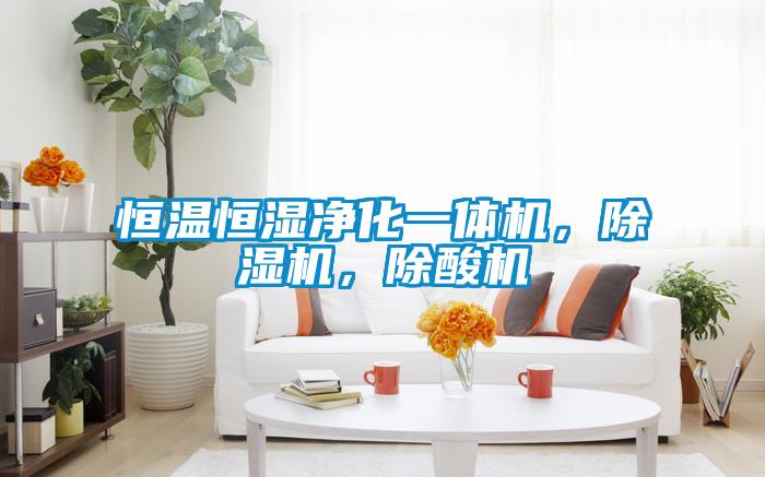 恒溫恒濕凈化一體機，除濕機，除酸機