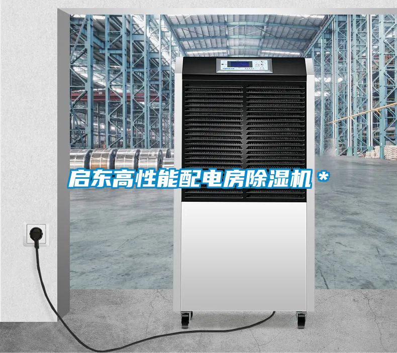 啟東高性能配電房除濕機(jī)*
