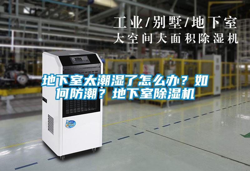 地下室太潮濕了怎么辦？如何防潮？地下室除濕機(jī)
