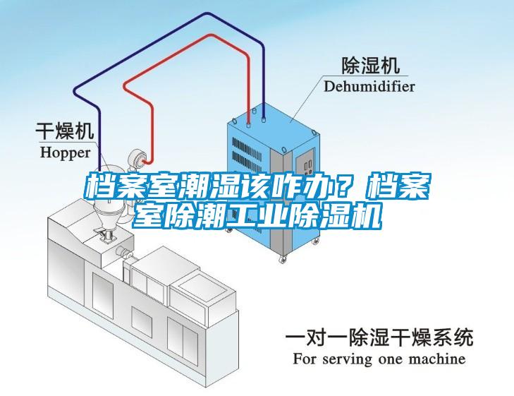 檔案室潮濕該咋辦？檔案室除潮工業除濕機