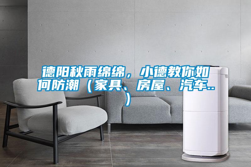 德陽秋雨綿綿,小德教你如何防潮(家具、房屋、汽車..)