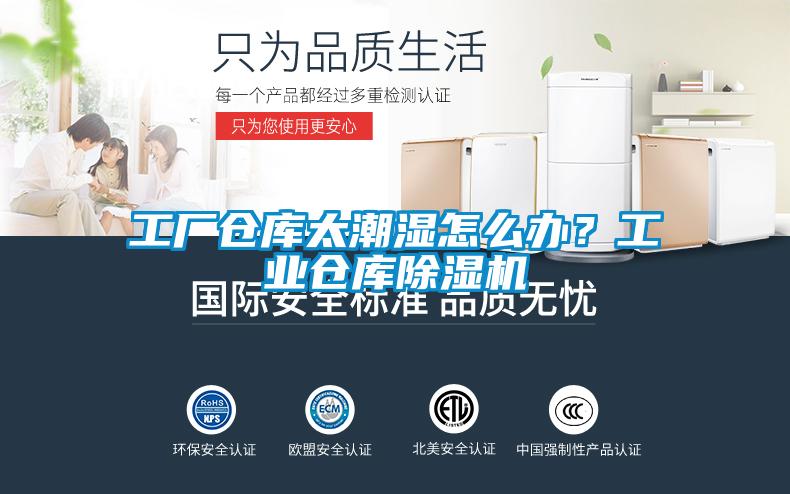 工廠倉庫太潮濕怎么辦?工業倉庫除濕機