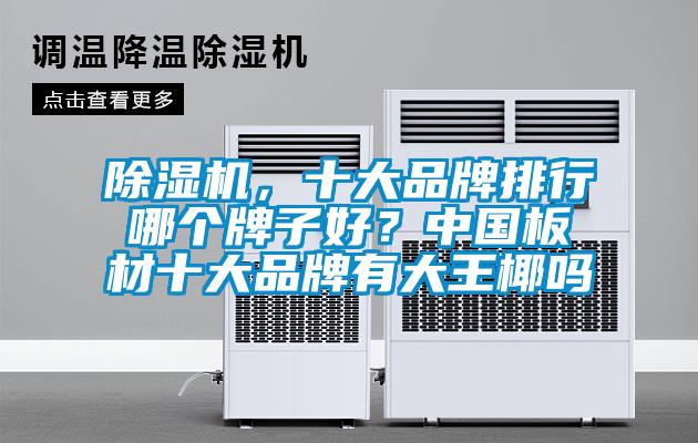 除濕機(jī)，十大品牌排行哪個(gè)牌子好？中國板材十大品牌有大王椰嗎