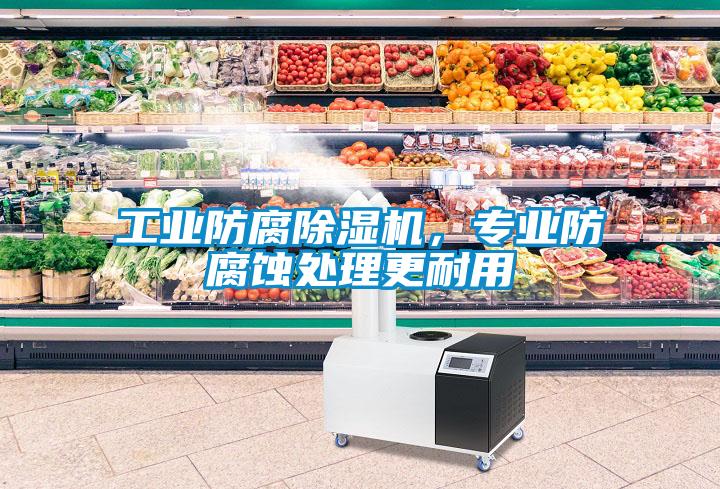 工業(yè)防腐除濕機(jī)，專(zhuān)業(yè)防腐蝕處理更耐用