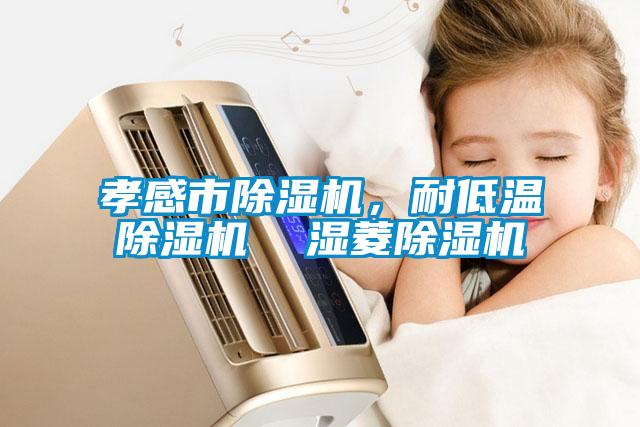 孝感市除濕機，耐低溫除濕機  濕菱除濕機