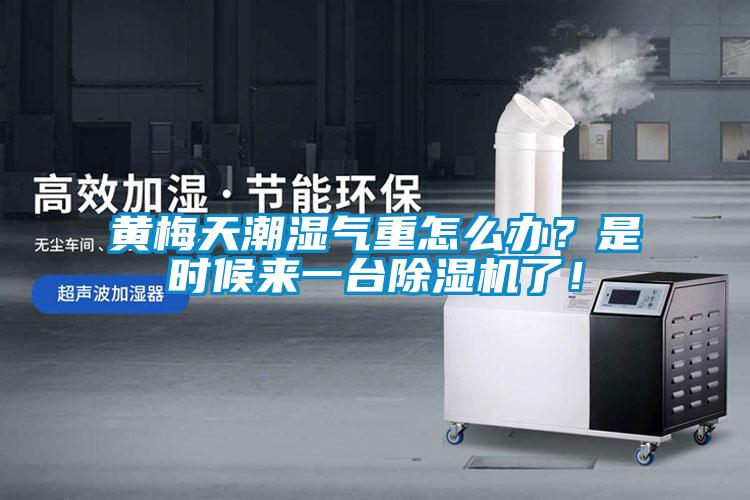 黃梅天潮濕氣重怎么辦?是時候來一臺除濕機了!