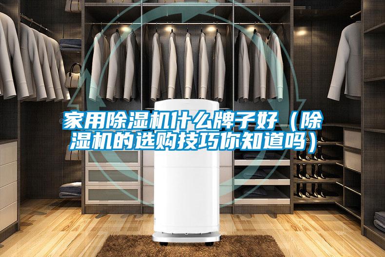 家用除濕機什么牌子好(除濕機的選購技巧你知道嗎)
