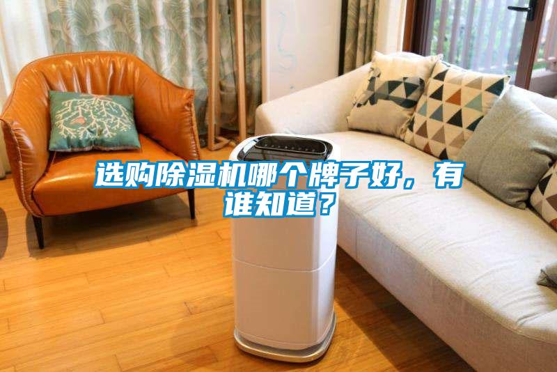 選購除濕機哪個牌子好，有誰知道？