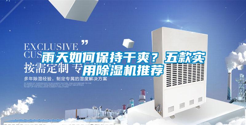 雨天如何保持干爽？五款實用除濕機(jī)推薦