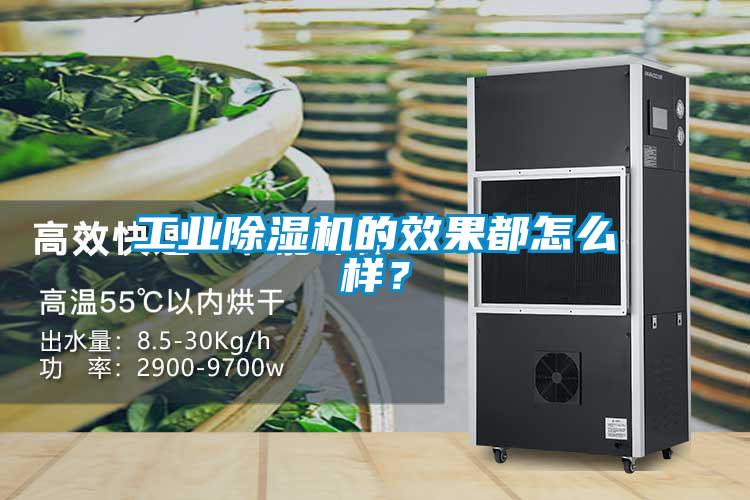 工業除濕機的效果都怎么樣？