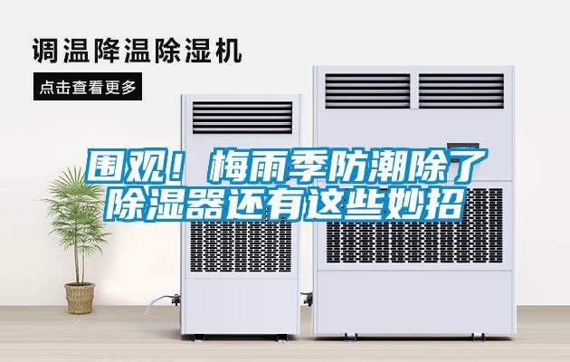 圍觀！梅雨季防潮除了除濕器還有這些妙招