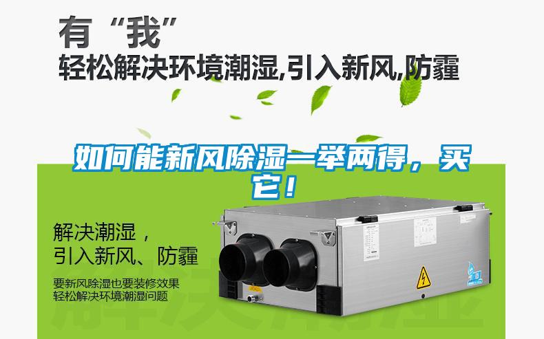 如何能新風除濕一舉兩得,買它!