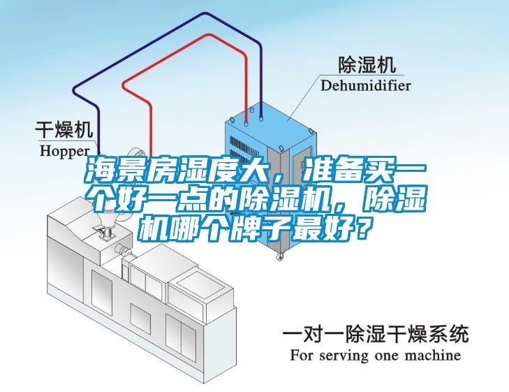 海景房濕度大，準(zhǔn)備買(mǎi)一個(gè)好一點(diǎn)的除濕機(jī)，除濕機(jī)哪個(gè)牌子最好？