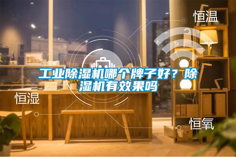工業除濕機哪個牌子好？除濕機有效果嗎