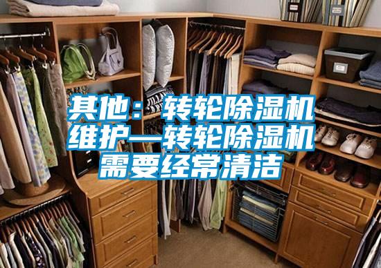 其他:轉輪除濕機維護—轉輪除濕機需要經常清潔