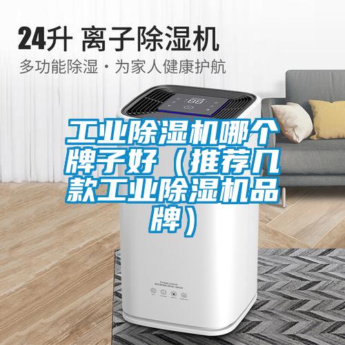 工業除濕機哪個牌子好(推薦幾款工業除濕機品牌)