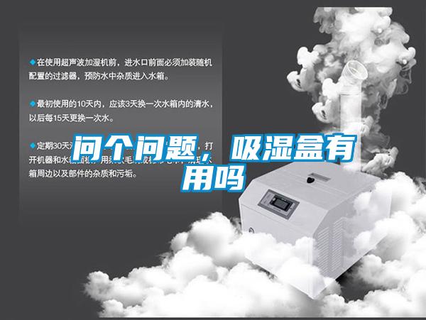 問(wèn)個(gè)問(wèn)題，吸濕盒有用嗎