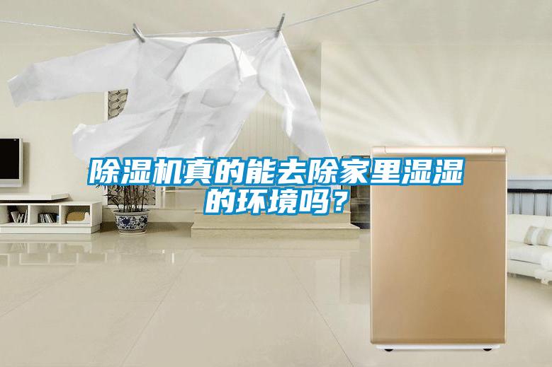 除濕機(jī)真的能去除家里濕濕的環(huán)境嗎？