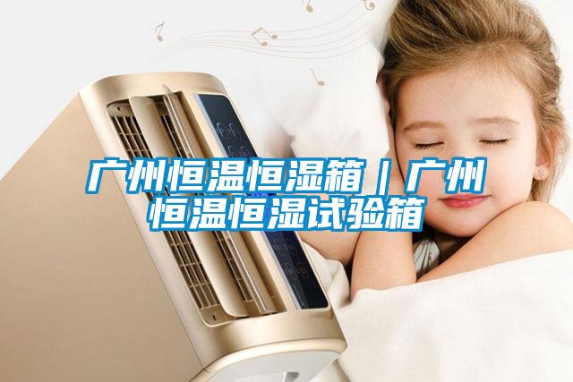 廣州恒溫恒濕箱|廣州恒溫恒濕試驗箱