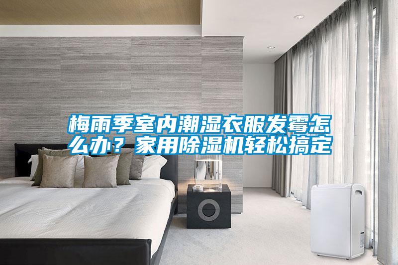 梅雨季室內潮濕衣服發霉怎么辦?家用除濕機輕松搞定