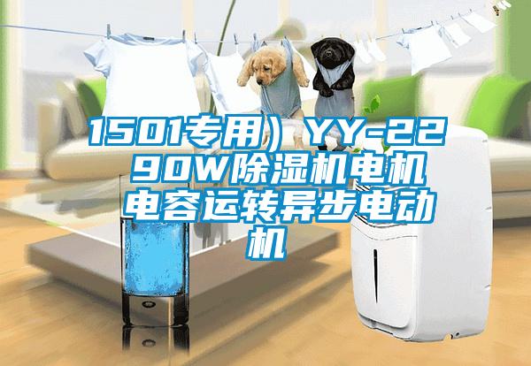 1501專用)YY-22  90W除濕機電機  電容運轉異步電動機