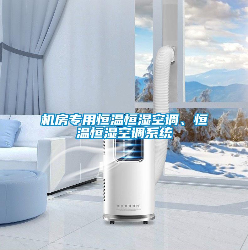 機(jī)房專用恒溫恒濕空調(diào)、恒溫恒濕空調(diào)系統(tǒng)