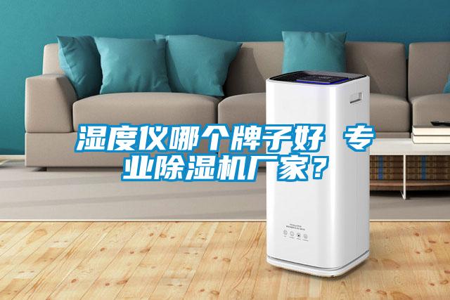濕度儀哪個牌子好 專業除濕機廠家?