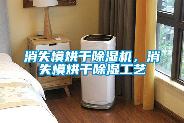 消失模烘干除濕機,消失模烘干除濕工藝