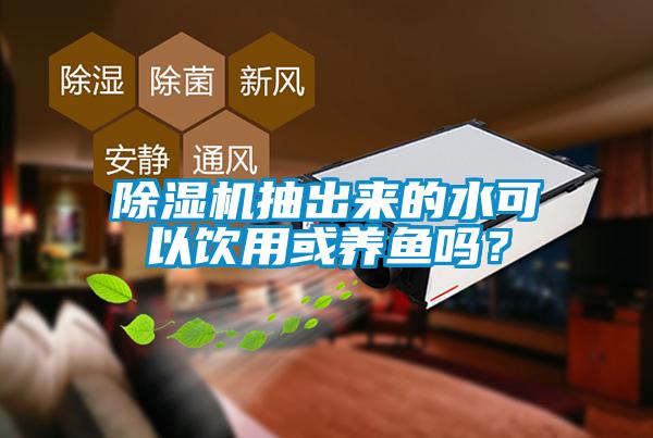 除濕機(jī)抽出來(lái)的水可以飲用或養(yǎng)魚(yú)嗎？