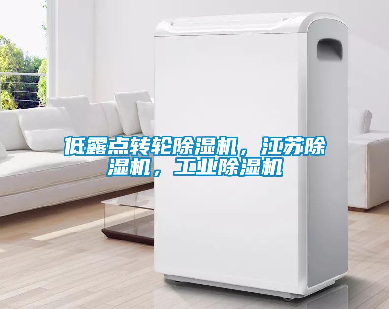低露點轉輪除濕機,江蘇除濕機,工業除濕機
