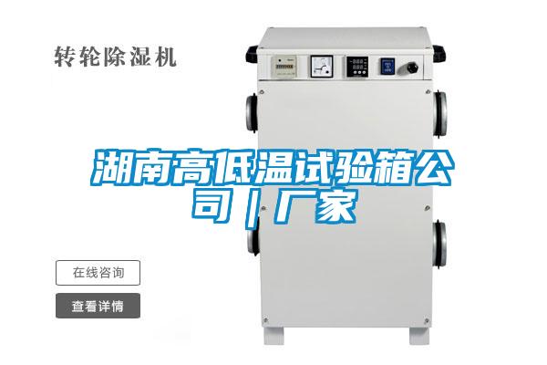 湖南高低溫試驗箱公司|廠家