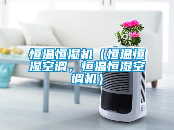 恒溫恒濕機(恒溫恒濕空調,恒溫恒濕空調機)