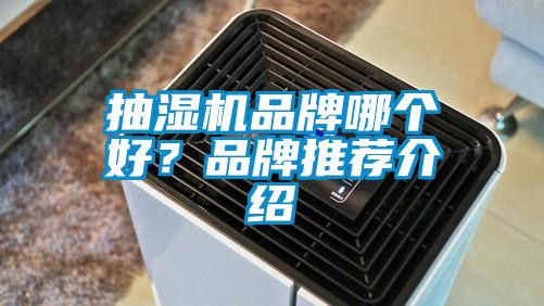 抽濕機品牌哪個好？品牌推薦介紹