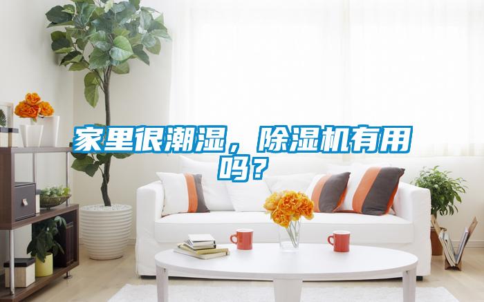 家里很潮濕，除濕機(jī)有用嗎？