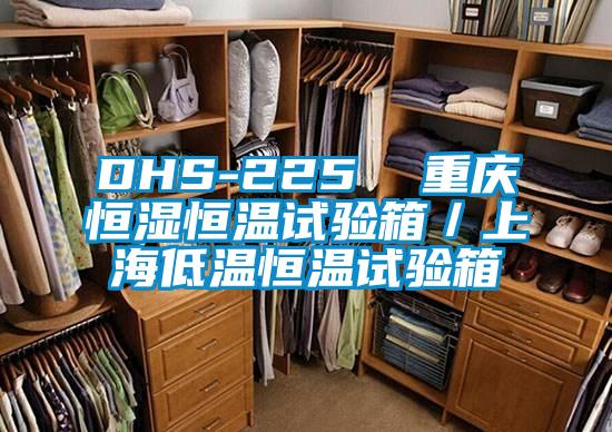 DHS-225  重慶恒濕恒溫試驗箱/上海低溫恒溫試驗箱
