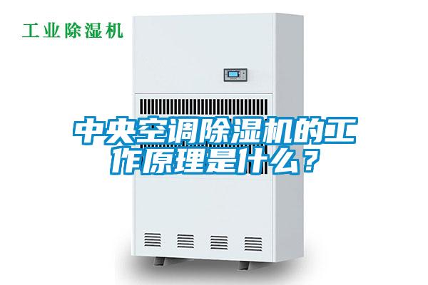 中央空調除濕機的工作原理是什么？