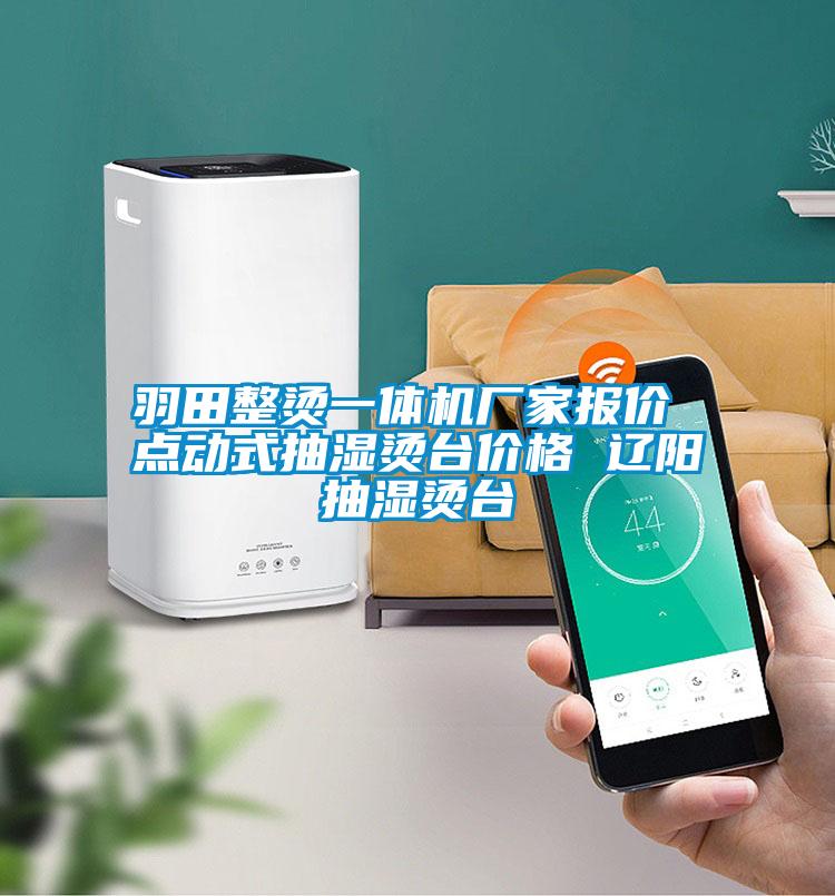 羽田整燙一體機(jī)廠家報(bào)價(jià) 點(diǎn)動(dòng)式抽濕燙臺價(jià)格 遼陽抽濕燙臺