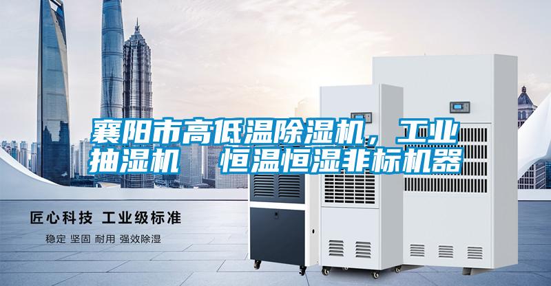 襄陽市高低溫除濕機,工業抽濕機  恒溫恒濕非標機器
