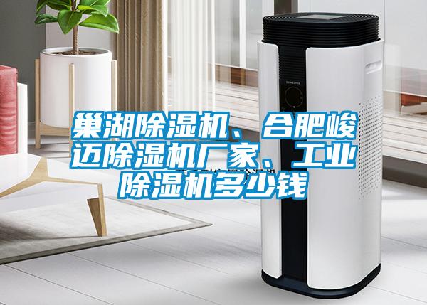 巢湖除濕機、合肥峻邁除濕機廠家、工業除濕機多少錢