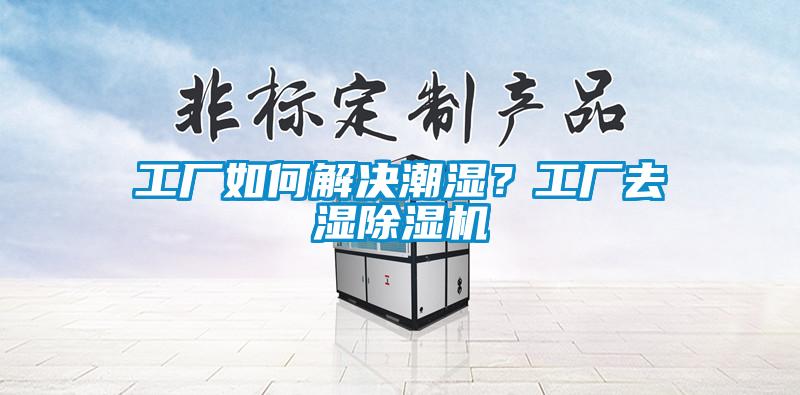 工廠如何解決潮濕?工廠去濕除濕機