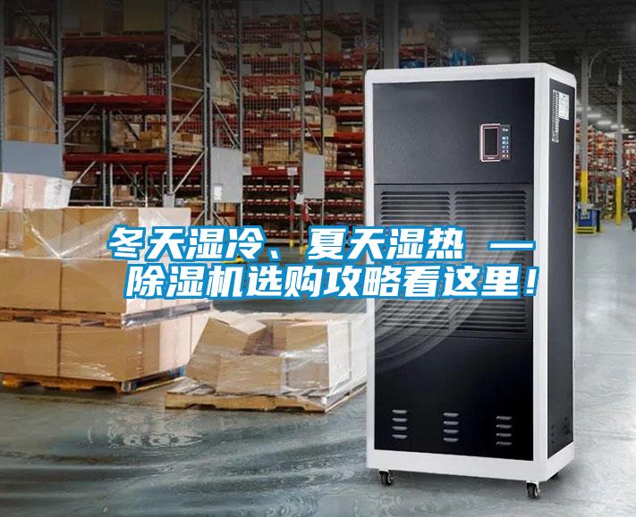 冬天濕冷、夏天濕熱 — 除濕機選購攻略看這里！