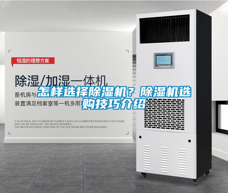 怎樣選擇除濕機?除濕機選購技巧介紹