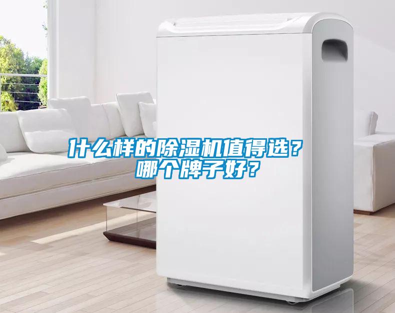 什么樣的除濕機(jī)值得選？ 哪個(gè)牌子好？