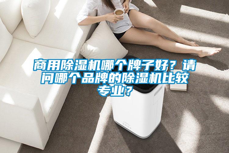 商用除濕機哪個牌子好?請問哪個品牌的除濕機比較專業?