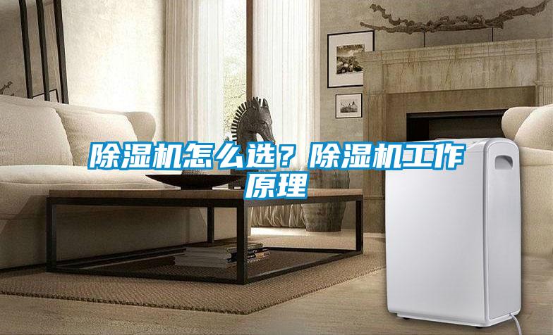 除濕機怎么選？除濕機工作原理