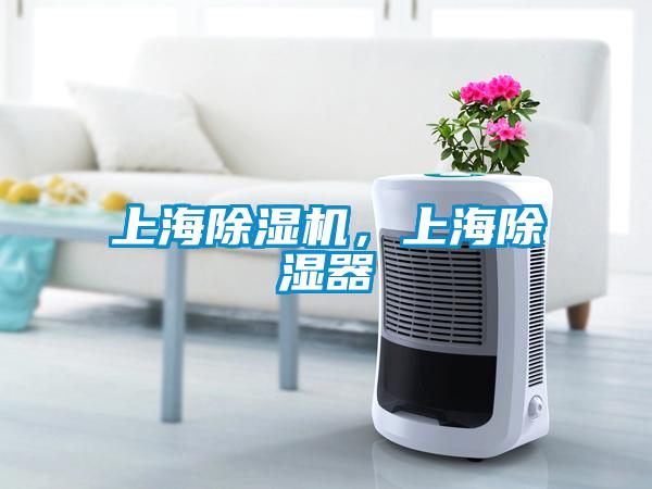上海除濕機，上海除濕器